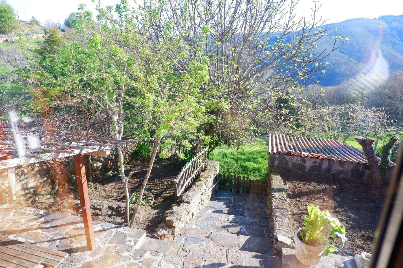 Retiro De Gondramaz - 200 M2 Villa Dış mekan fotoğraf